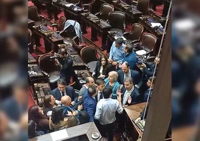 Papel�n en Diputados: Zago y Almir�n se fueron a las manos en plena sesi�n