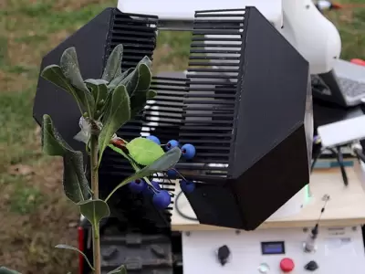 El robot es desarrollado por investigadores de Ingenier�a de la Universidad Cat�lica de Chile.