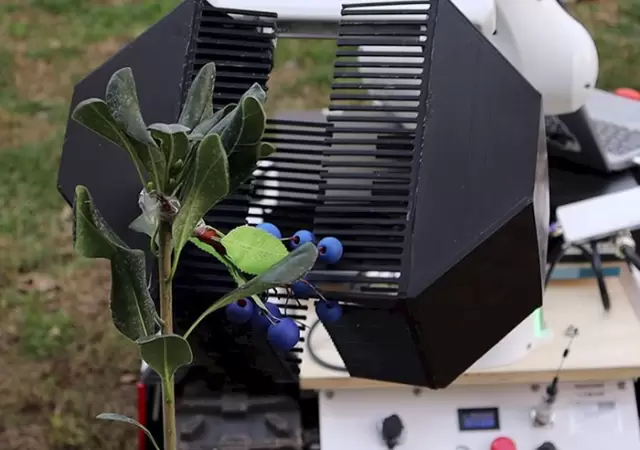 El robot es desarrollado por investigadores de Ingenier�a de la Universidad Cat�lica de Chile.