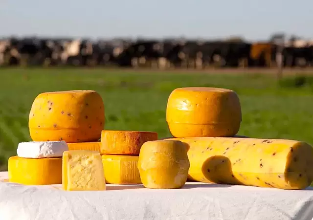 En Suipacha se pueden visitar establecimientos queseros y realizar degustaciones/