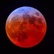 Eclipse lunar total, en videos: as� se vivi� en Argentina y el mundo
