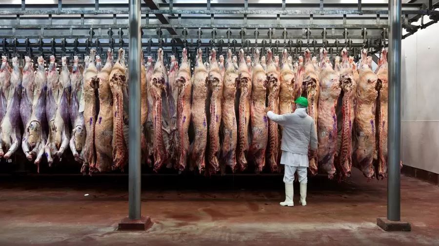 "No podemos comer y consumir permanentemente lo que tendr�amos que dejar para las sociedades que vienen" (A. M. Ant�n)