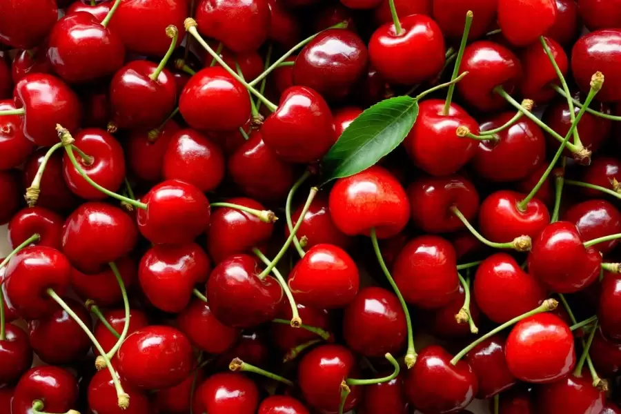 cerezas