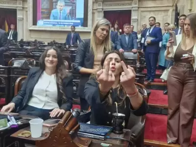 El Congreso no contribuye para la armon�a