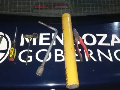 Fuente: Ministerio de Seguridad de Mendoza