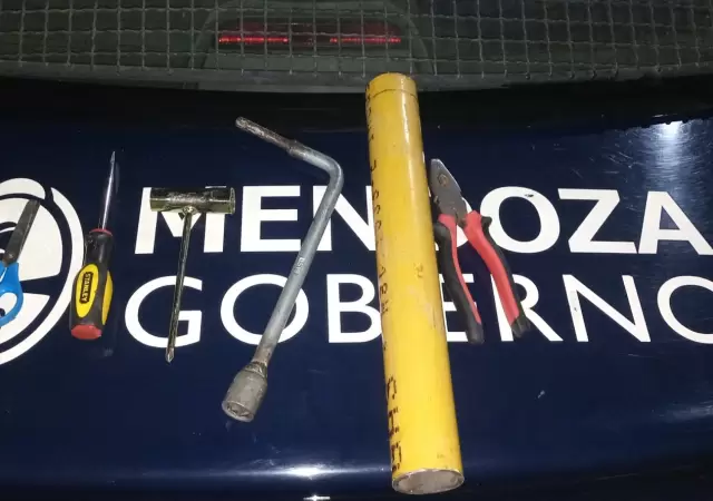 Fuente: Ministerio de Seguridad de Mendoza