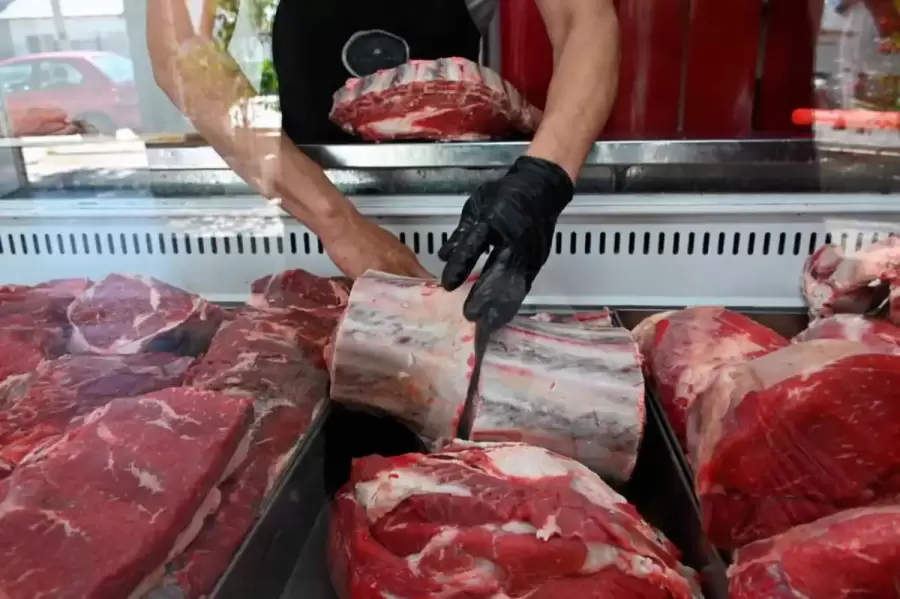 "Los precios estuvieron m�s altos que en enero, por el mismo precio de la carne" (F. Marengo)