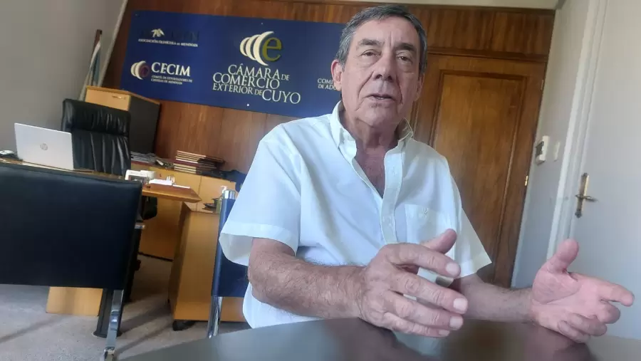 Mario Bustos Carra, gerente de la C�mara Exterior de Cuyo.