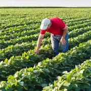 Desregulaci�n de importaciones: �oportunidad o amenaza?