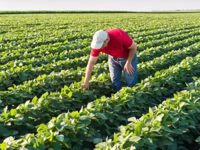 Desregulaci�n de importaciones: �oportunidad o amenaza?