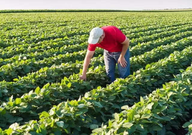 Desregulaci�n de importaciones: �oportunidad o amenaza?