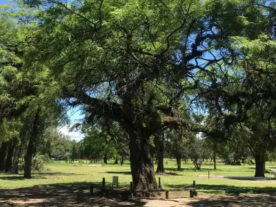 El 'Arbol de La Ramada' se encuentra en Tucum�n. (Foto: web)