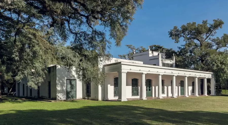 'Algarrobo de la Esperanza', en la quinta de Pueyrred�n. (Foto: web)
