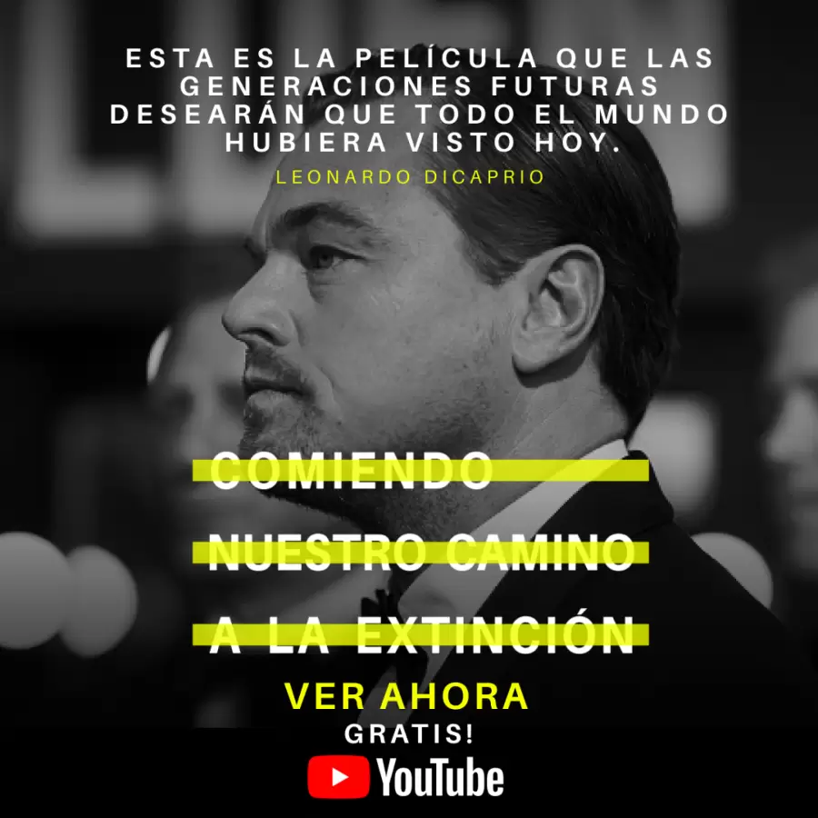 leo quote-spain-square