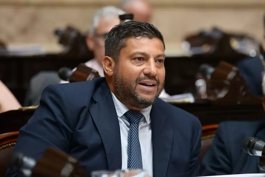 "Muchos de los hechos que ocurren en Argentina requieren de un DNU, porque son urgentes" (G. Chumpitaz)