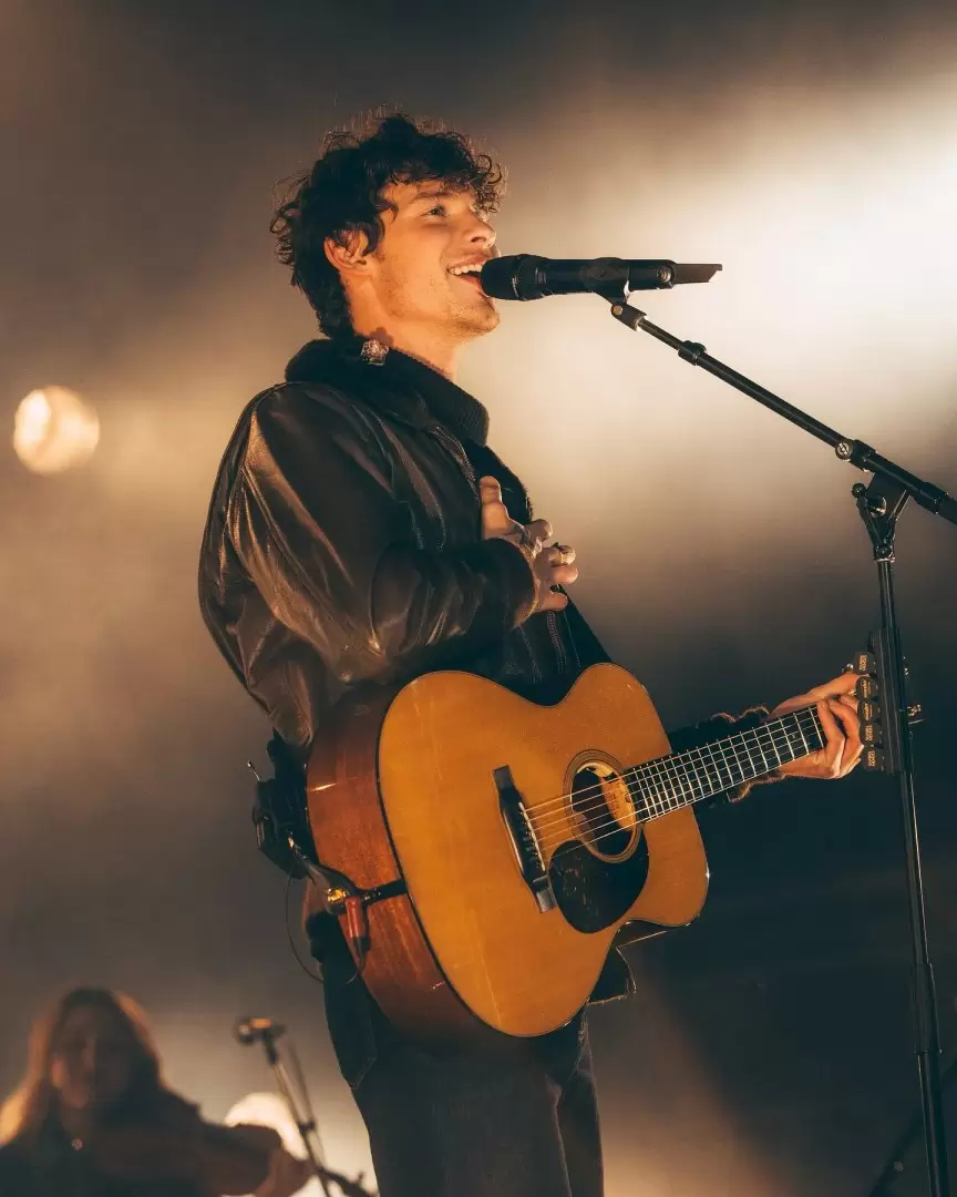 shawn mendes