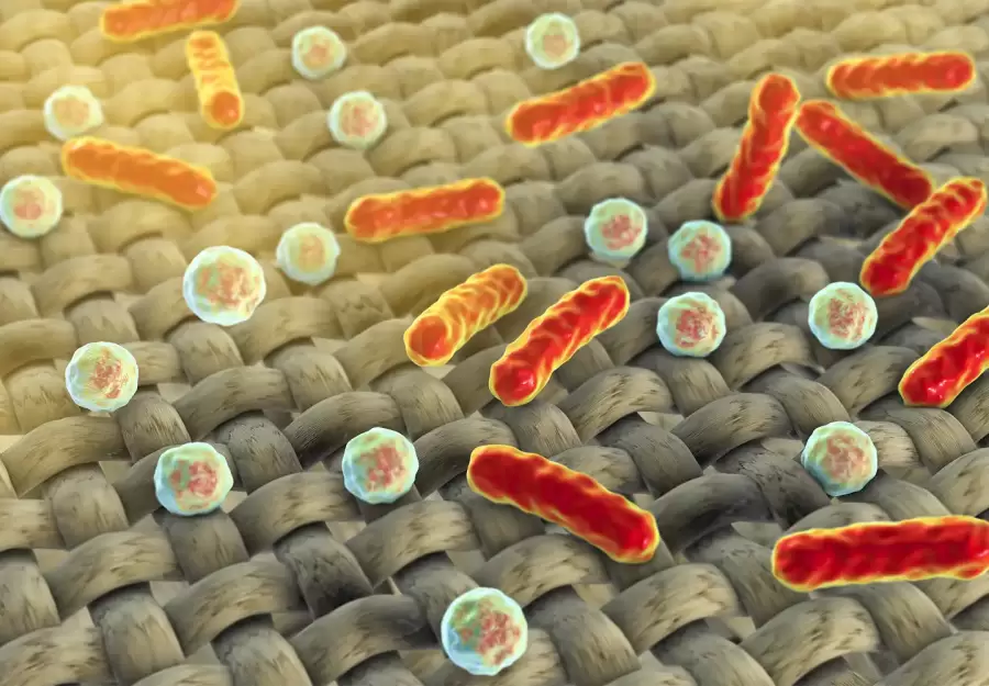 Es imposible erradicar por completo a las bacterias, porque los g�rmenes est�n en todas partes, y nuestro cuerpo alberga a millones de ellos.