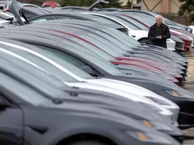 Veh�culos Tesla fueron vandalizados en Canad�.