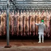 Un trabajador muri� en un frigor�fico tras sufrir graves quemaduras con agua hirviendo