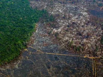 Crisis h�drica en Brasil