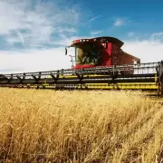 El agro muestra optimismo pese a que las soluciones son provisorias