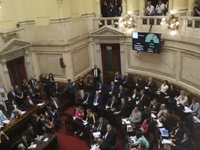 Senadores en acci�n.