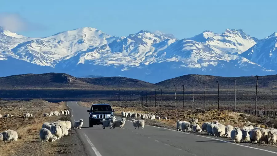 La RN 40 llega a ciudades emblem�ticas como Bariloche, El Bols�n y Esquel.