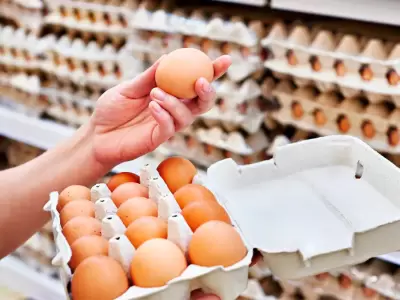 Alimento primordial
