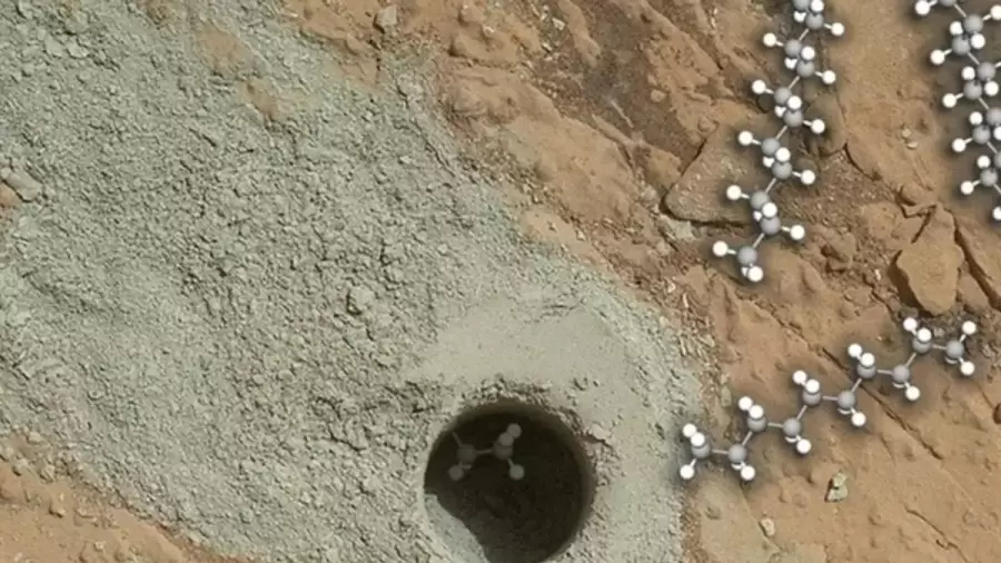 Seg�n inform� la NASA los �cidos grasos son mol�culas org�nicas claves de la Tierra que sirven como bloques qu�micos de formaci�n de la vida.