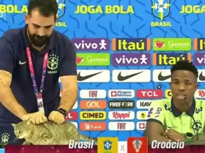 El fantasma del gato de Qatar sigue rondando tras los malos resultados de Brasil