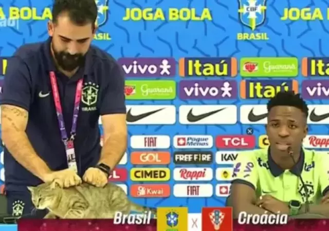 El fantasma del gato de Qatar sigue rondando tras los malos resultados de Brasil