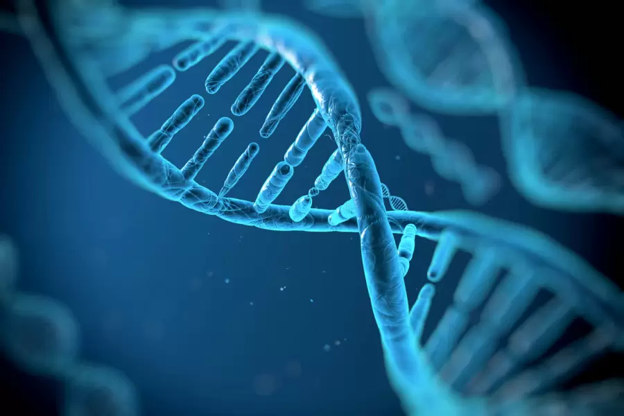 Genes