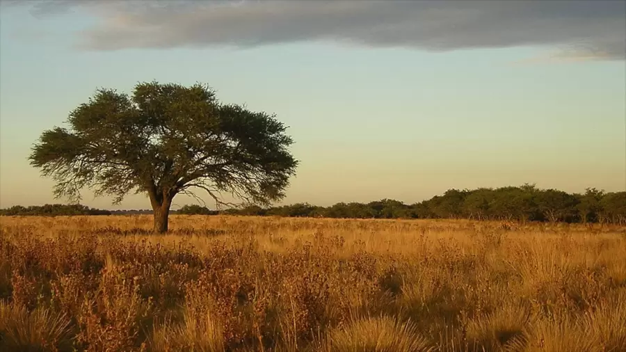 La Pampa