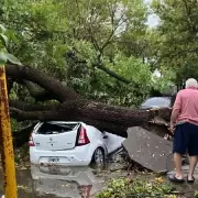 Funes, Rold�n y Baigorria, golpeados por una in�dita tormenta de granizo