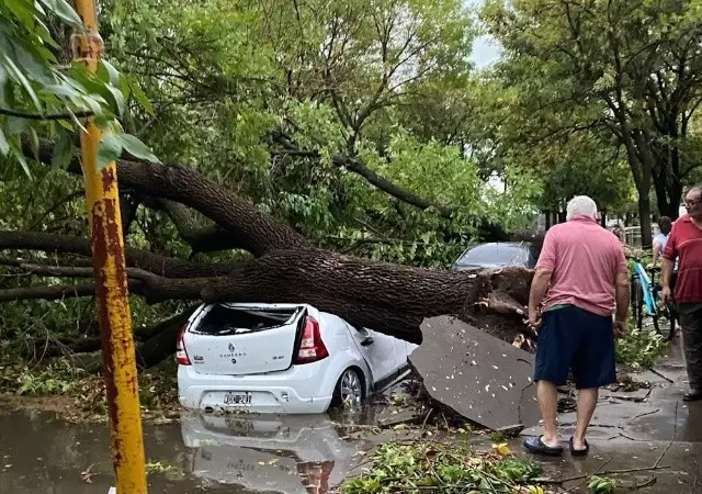 Fuerte tormenta de granizo en Rosario y alrededores.