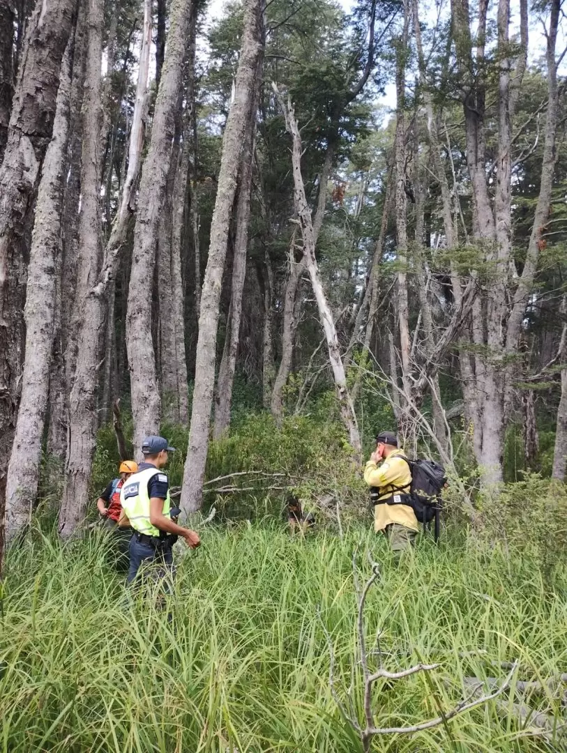 Se realiz� un rastrillaje hasta la Cascada Inacayal por el sendero del sector Belvedere.