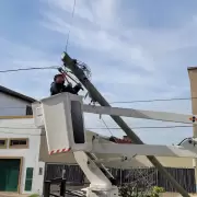 Qu� provoc� la muerte de un operario y heridas a otros dos en un accidente laboral