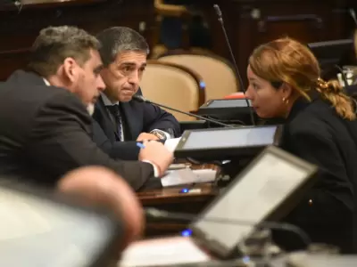 Sesi�n en la Legislatura. Titular del Bloque de Senadores del PJ, Adriana Cano.