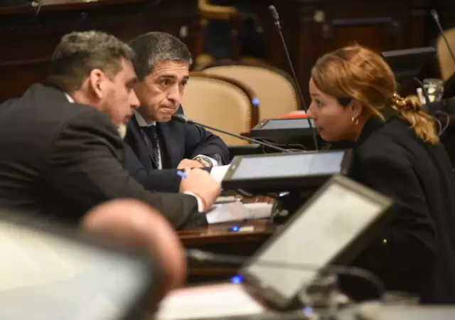 Sesi�n en la Legislatura. Titular del Bloque de Senadores del PJ, Adriana Cano.