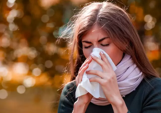 Alergia oto�al