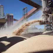 Producci�n r�cord de granos generar�a US$ 36.800 millones en exportaciones en 2026