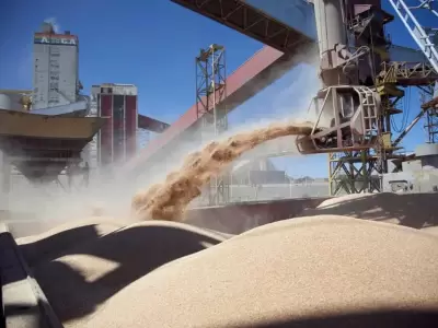 El agro espera una campa�a excepcional