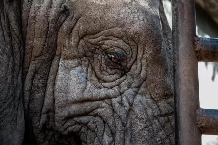 Kenya 5