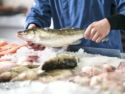 La oficina elabor� un apartado espec�fico para los productores de pesca.