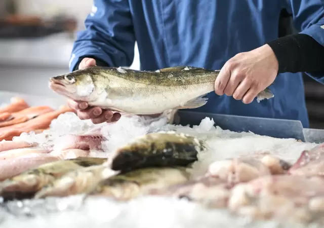 La oficina elabor� un apartado espec�fico para los productores de pesca.