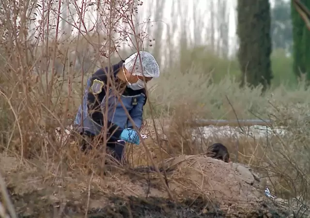 El cuerpo fue encontrado en un descampado. (Foto ilustrativa)