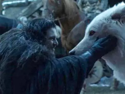 Criatura extinta revive tras 13.000 a�os: renace el lobo huargo de Game of Thrones