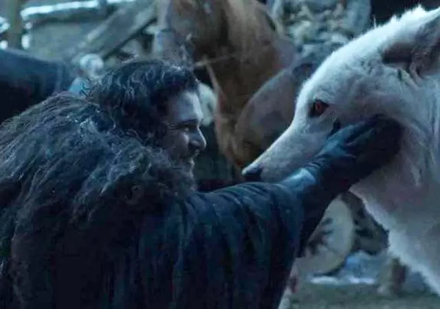 Criatura extinta revive tras 13.000 a�os: renace el lobo huargo de Game of Thrones