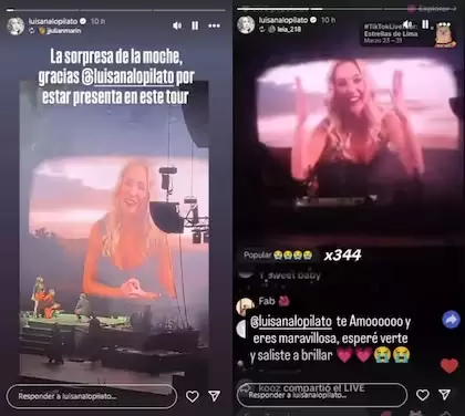 La actriz compartió algunos de los mensajes de sus fans (Foto: Instagram @luisanalopilato)