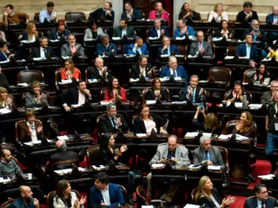 C�mara de Diputados de la Naci�n.